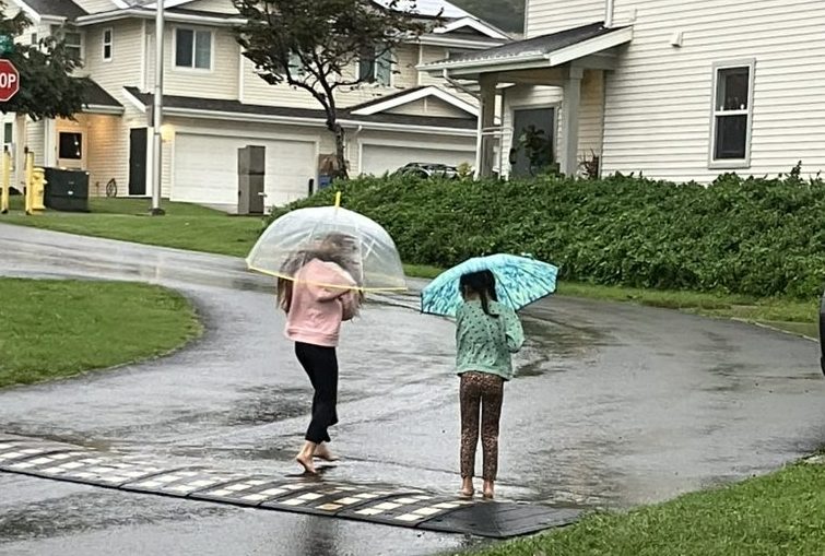 February: Playdates, Paperwork, and Perpetual&nbsp;Rain